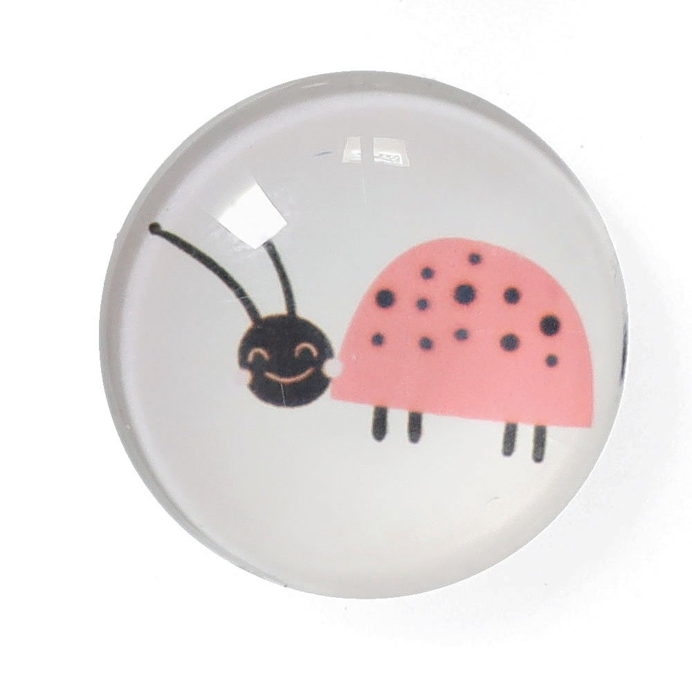 zeller-present-office-magnet-set-insekten-4-tlg-glas image 4